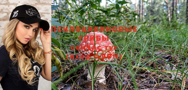 гашишное масло Алексеевка